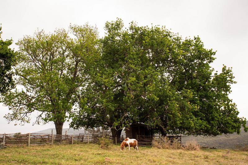 3 Bedroom Property for Sale in Plettenberg Bay Rural Western Cape
